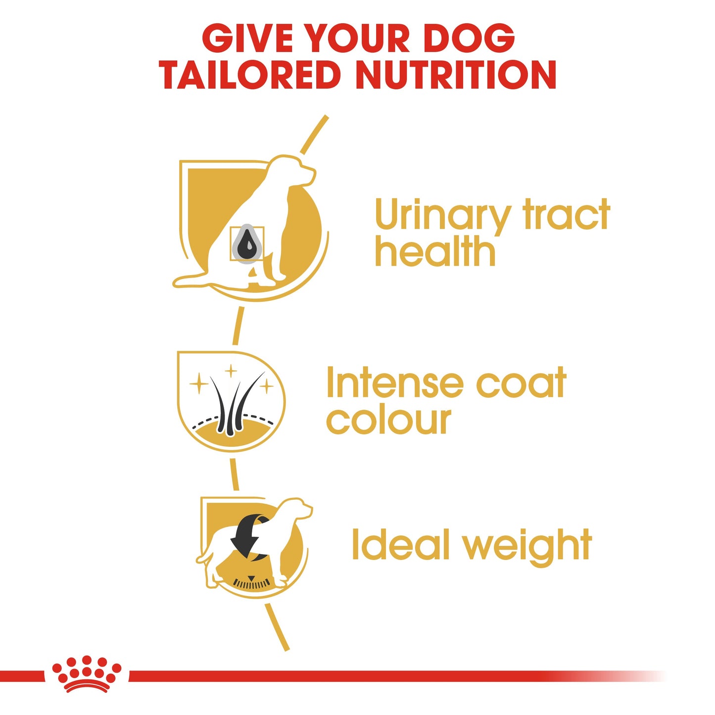 Royal Canin Adult Miniature Schnauzer Dry Dog Food