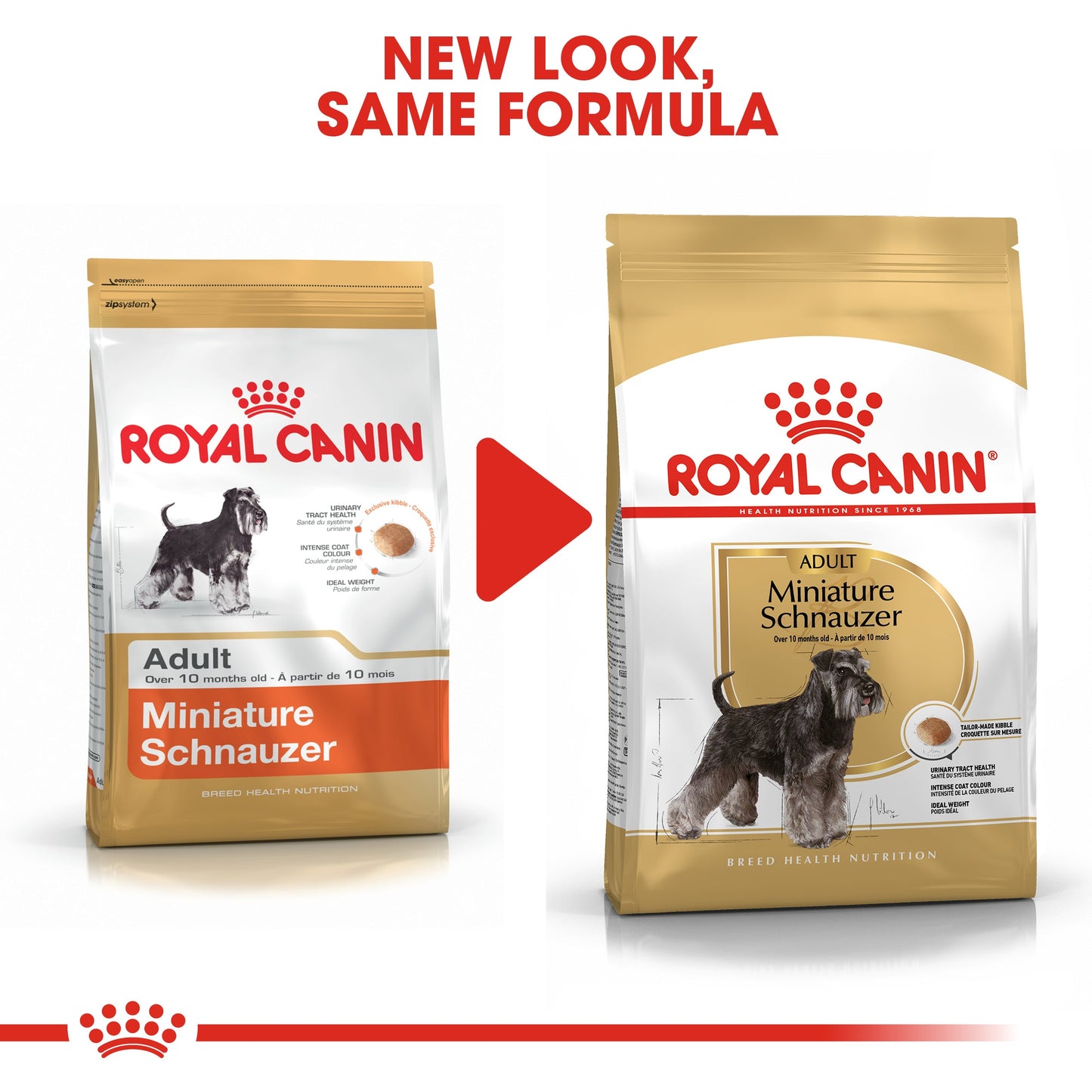 Royal Canin Adult Miniature Schnauzer Dry Dog Food