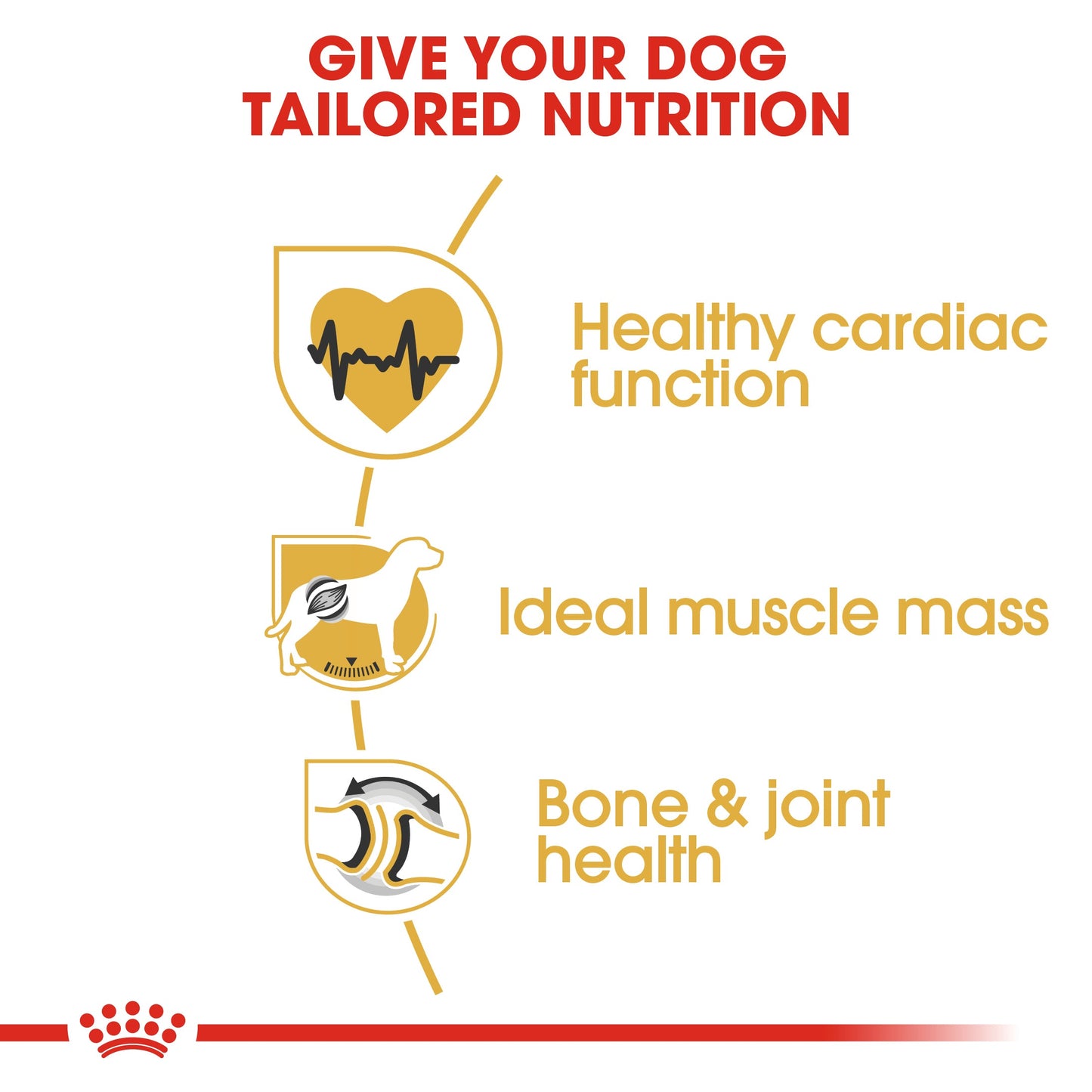 Royal Canin Adult Rottweiler Dry Dog Food 12kg