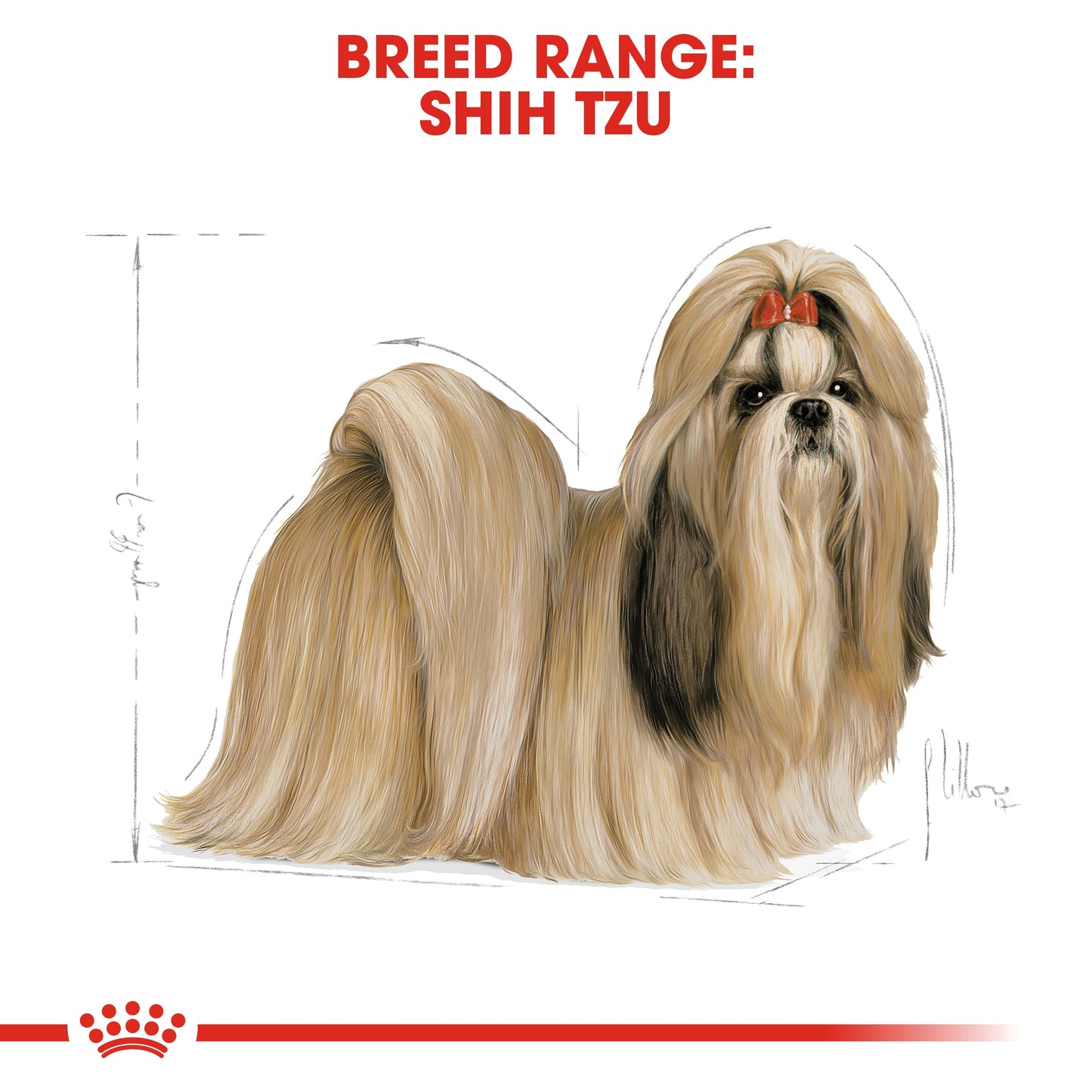 Royal Canin Adult Shih Tzu Dry Dog Food