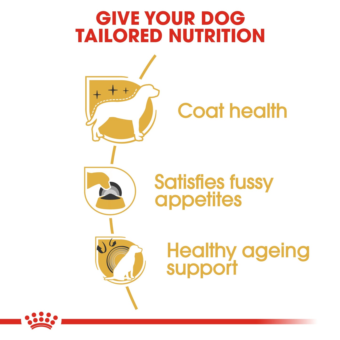 Royal Canin Adult Yorkshire Terrier Dry Dog Food