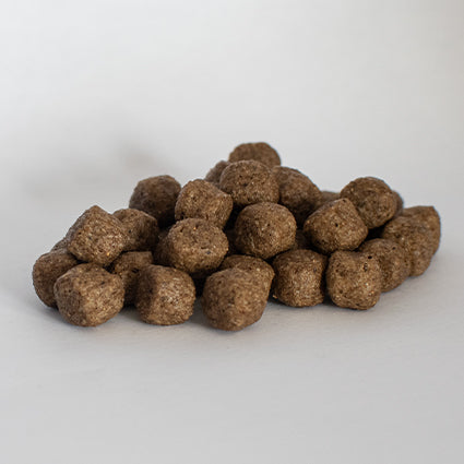 Skinner's Field & Trial Salmon & Rice Adut Working Dry Dog Food