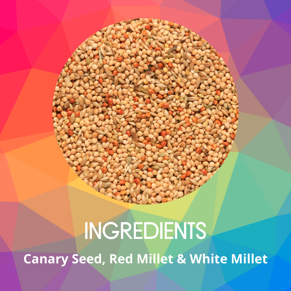 SkyGold Budgie Red Bird Food 20kg