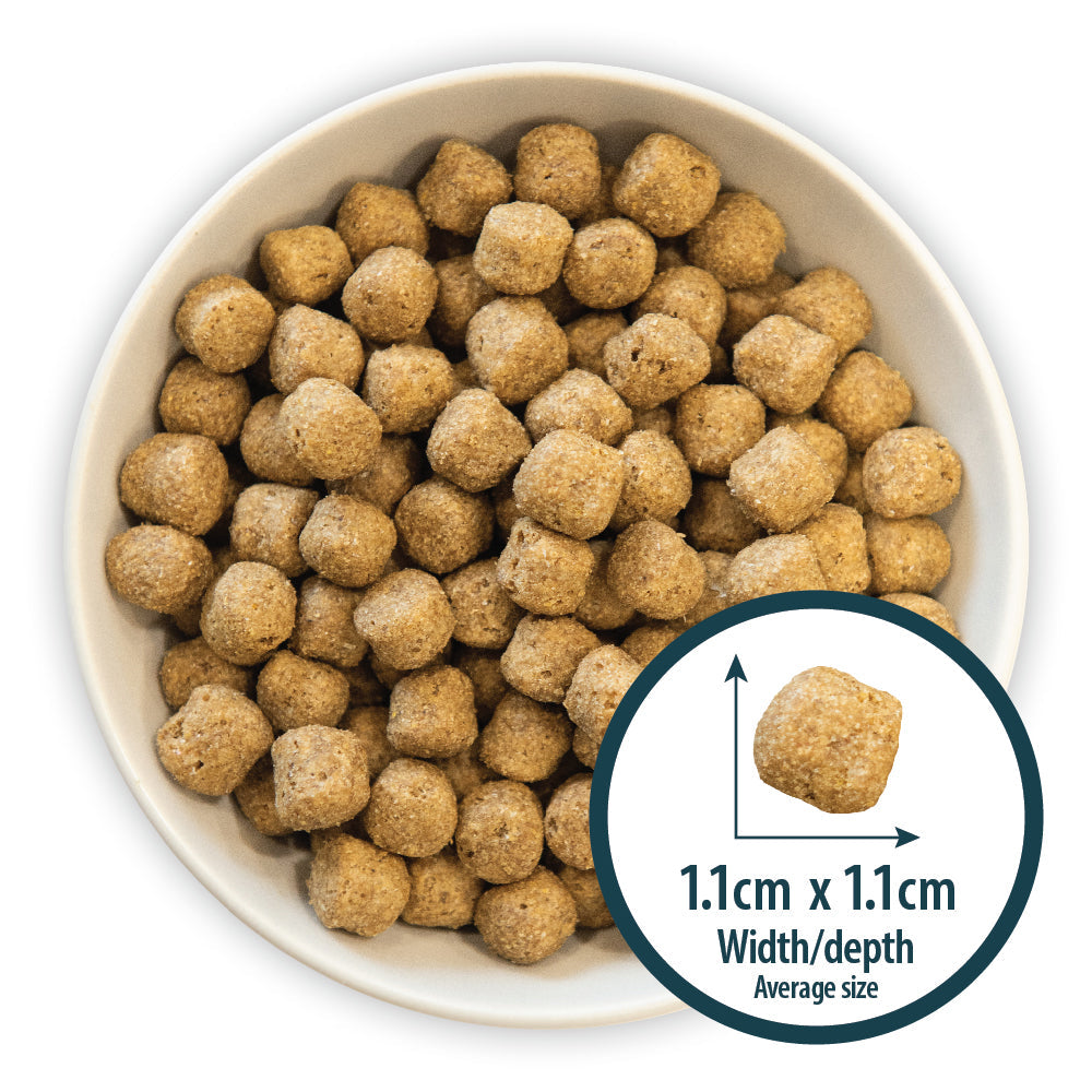 Burns Sensitive Chicken & Wholegrain Maize Dry Dog Food 2kg