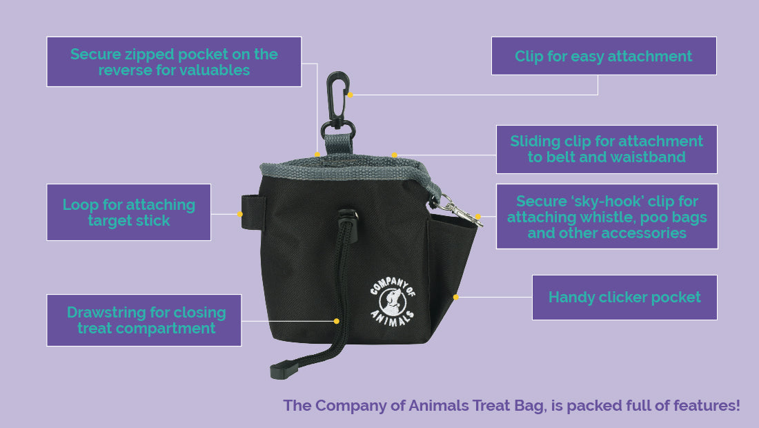 Company Of Animals Dog Treat Bag Purple