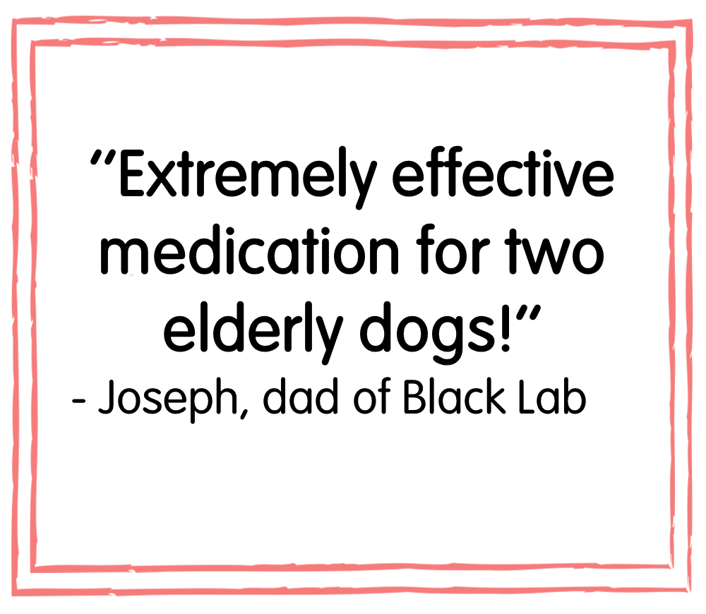 YuMOVE Dog Joint Supplement Tablets for Dogs - 300 Tablets