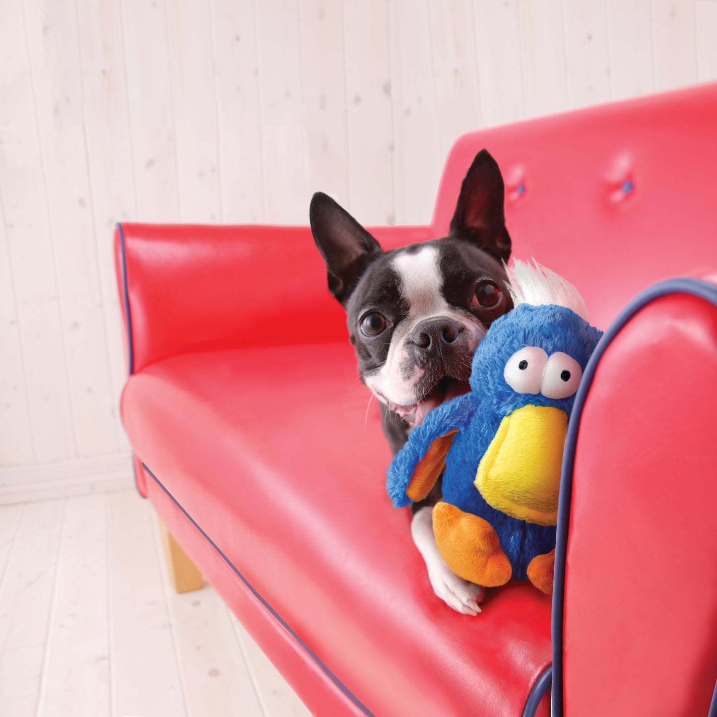 KONG Dodo Bird Dog Toy