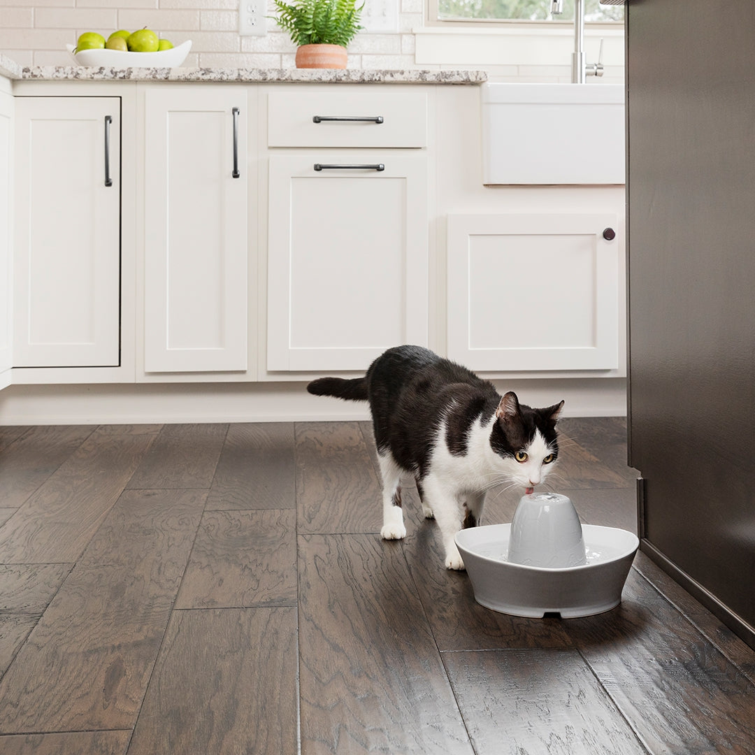 Petsafe Streamside Ceramic Pet Fountain