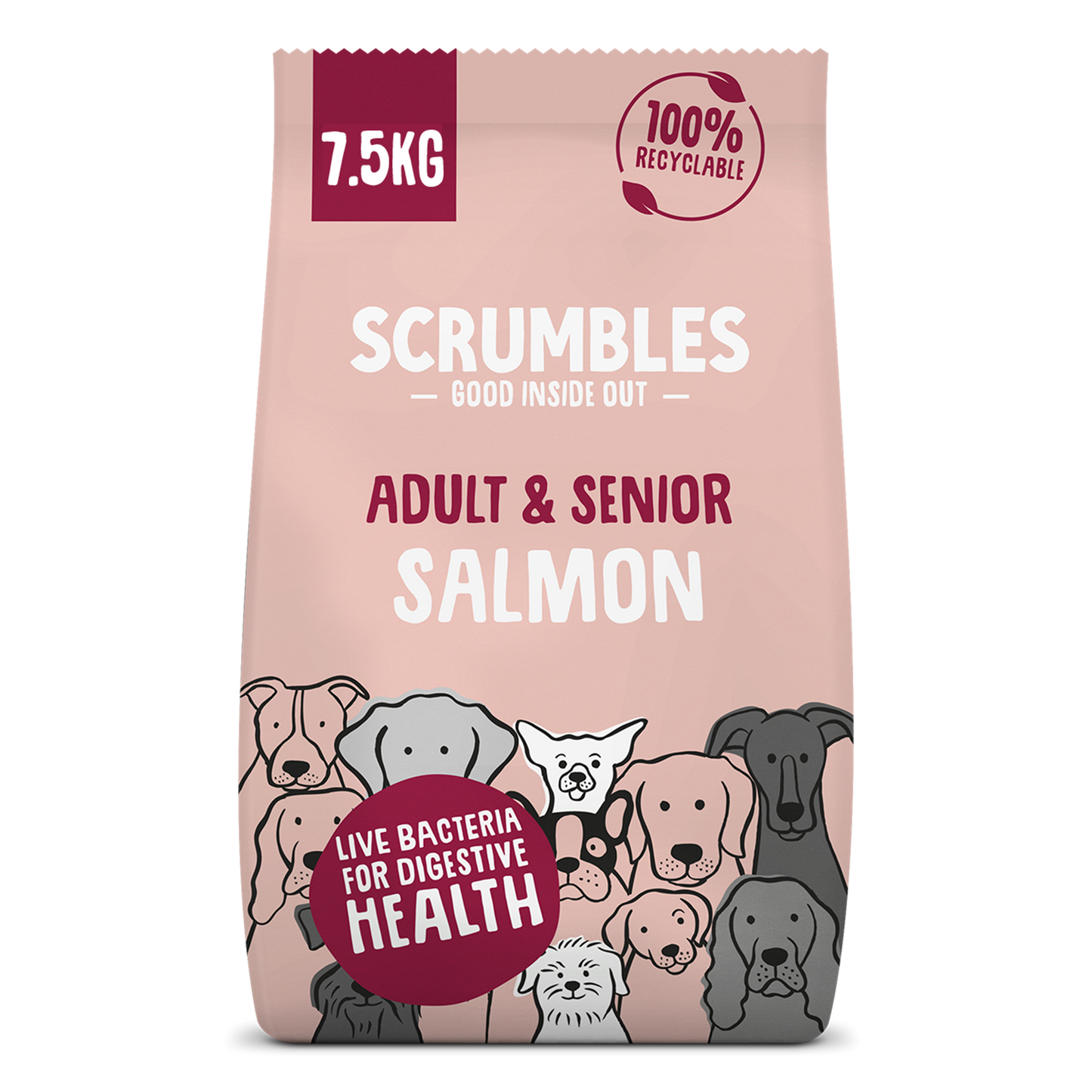 Scrumbles Adult & Senior Salmon Dry Dog Food