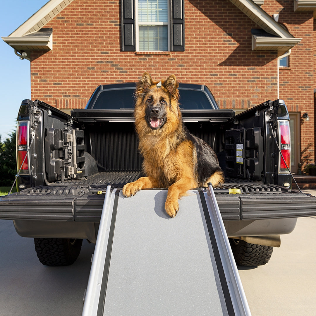 Petsafe Happy Ride Extra-Long Telescoping Dog Ramp