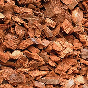 Komodo Coconut Terrain 6L