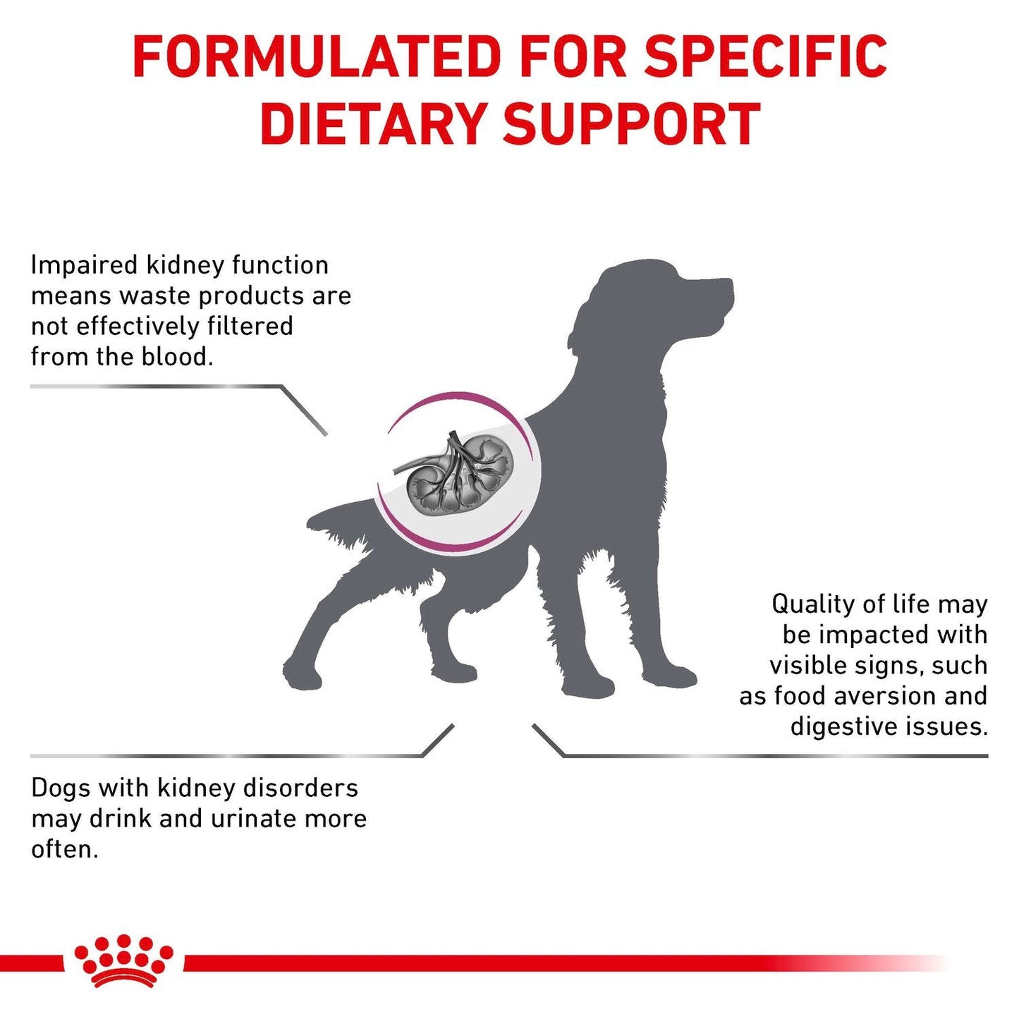 Royal Canin Renal Dry Dog Food 2kg