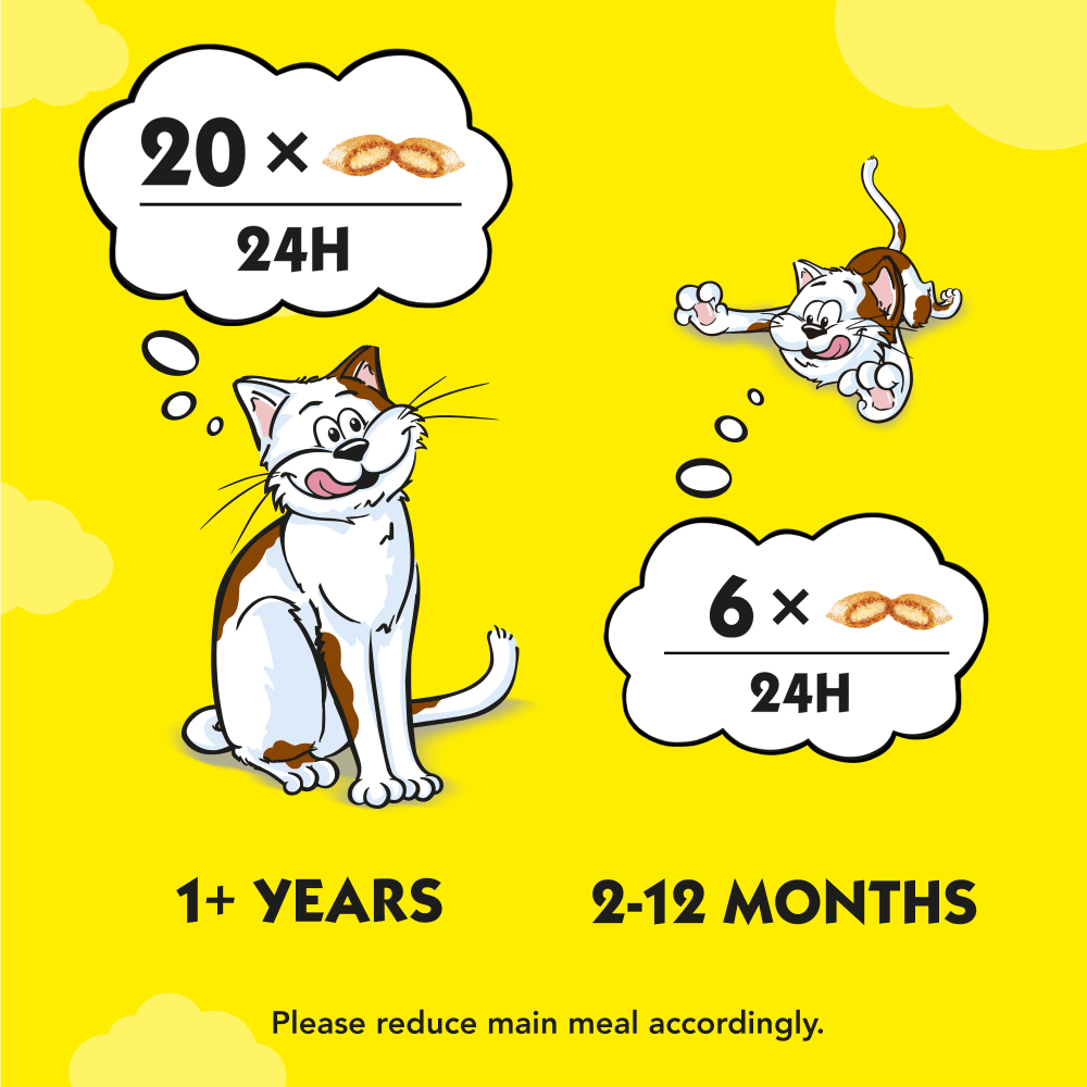 Dreamies Mix With Scrumptious Salmon Flavour & Delicious Cheese Cat Treats 60g