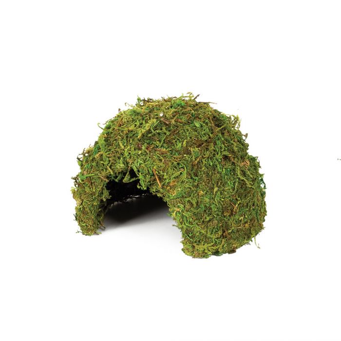 Komodo Large Natural Moss Cave Terrain
