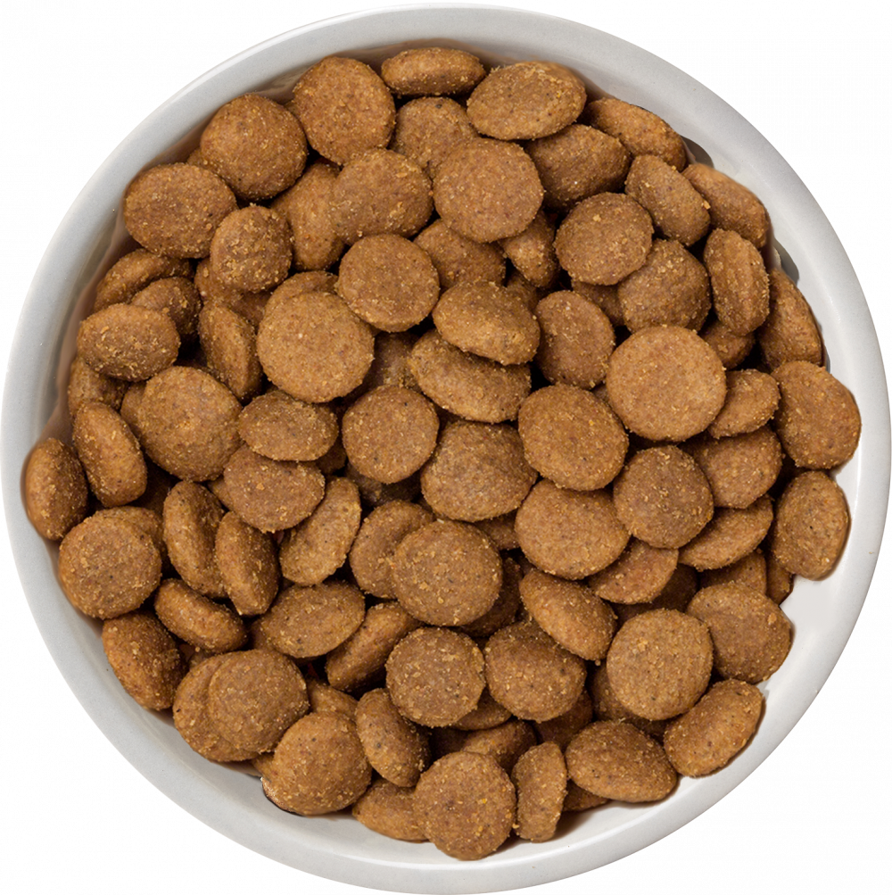 Nature's Variety Selected Free Range Chicken Medium/Maxi Adult Dry Dog Food 2 kg