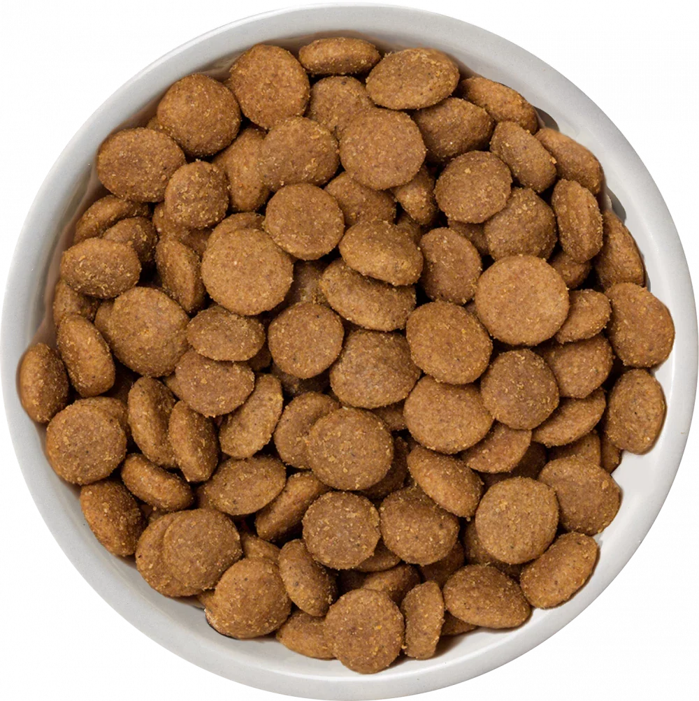 Nature's Variety Selected Free Range Chicken Medium/Maxi Adult Dry Dog Food 10Kg