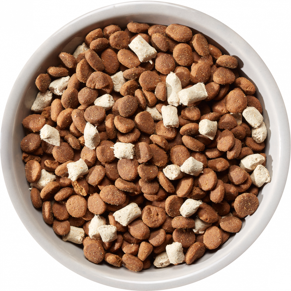 Nature's Variety Meat Boost Free Range Chicken Adult Dry Dog Food