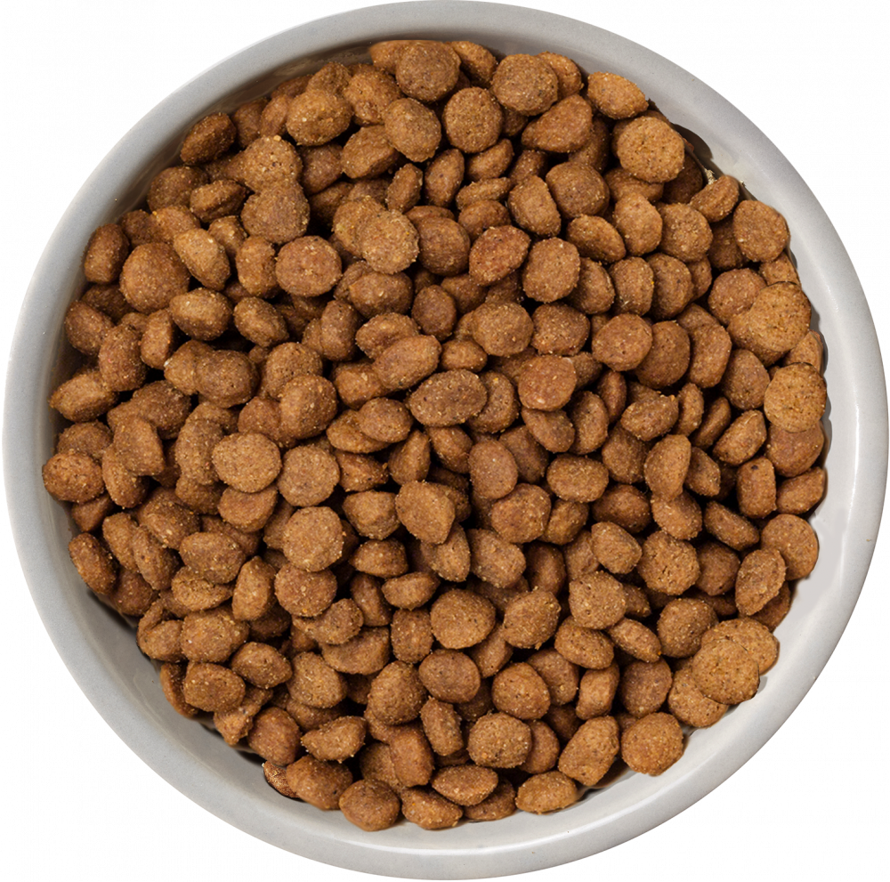 Nature's Variety Selected Norwegian Salmon Mini Adult Dry Dog Food 1.5kg