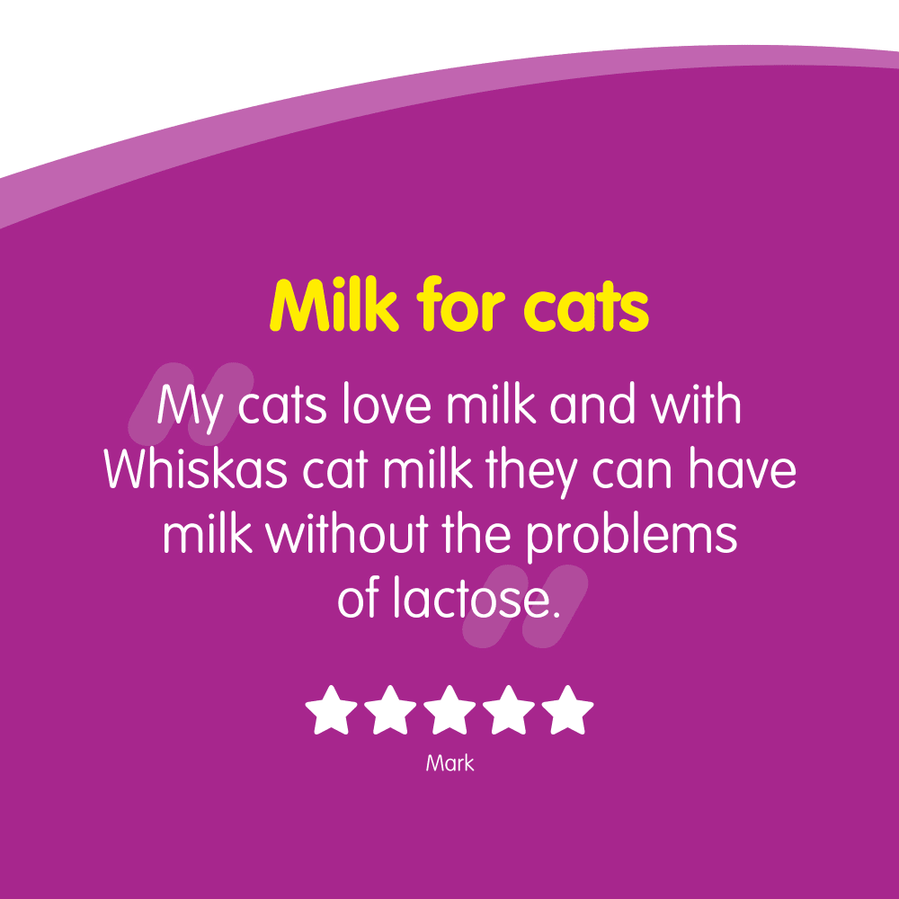 Whiskas Cat Milk 3 x 200ml