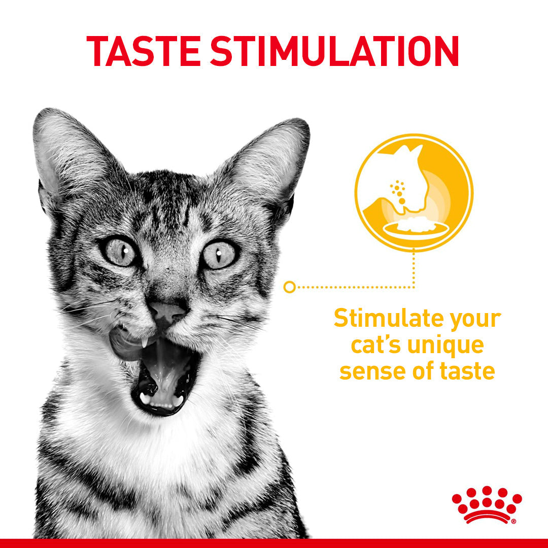 Royal Canin Adult Sensory Smell Taste Feel Chunks In Gravy Multipack 12 x 85g