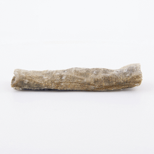 Fish4Dogs Dental Sea Jerky Fish Strips Dog Treats 100g
