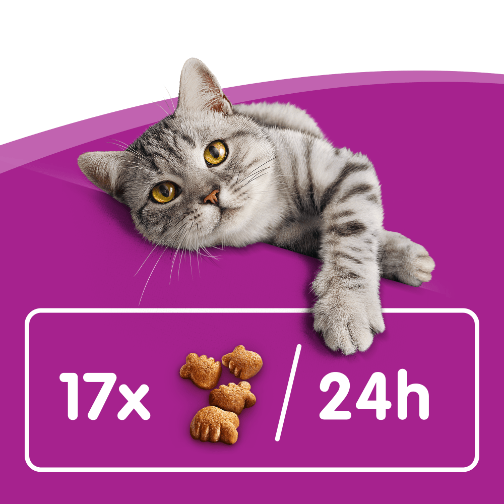 Whiskas Dentabites with Chicken Adult Cat Dental Treats 50g