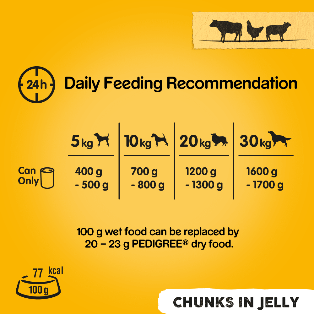 Pedigree Chunks in Jelly Adult Wet Dog Food 6 x 400g