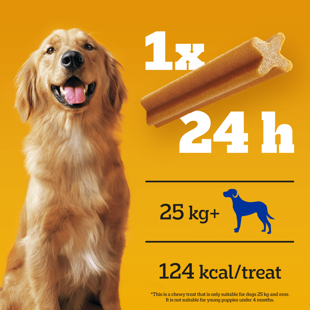 Pedigree Dentastix Daily Dental Chews Large Dog Treats 4 Sticks