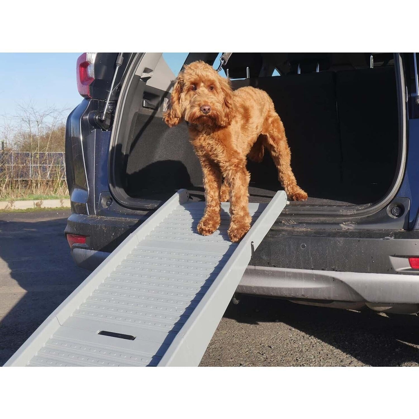 Rosewood Folding Dog Travel Ramp