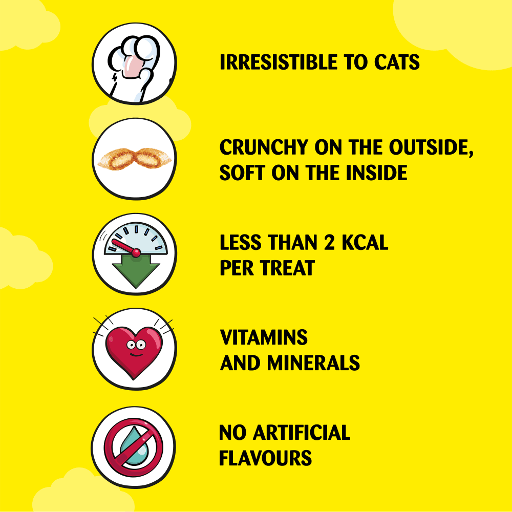 Dreamies with Tempting Beef Cat Treats 60g