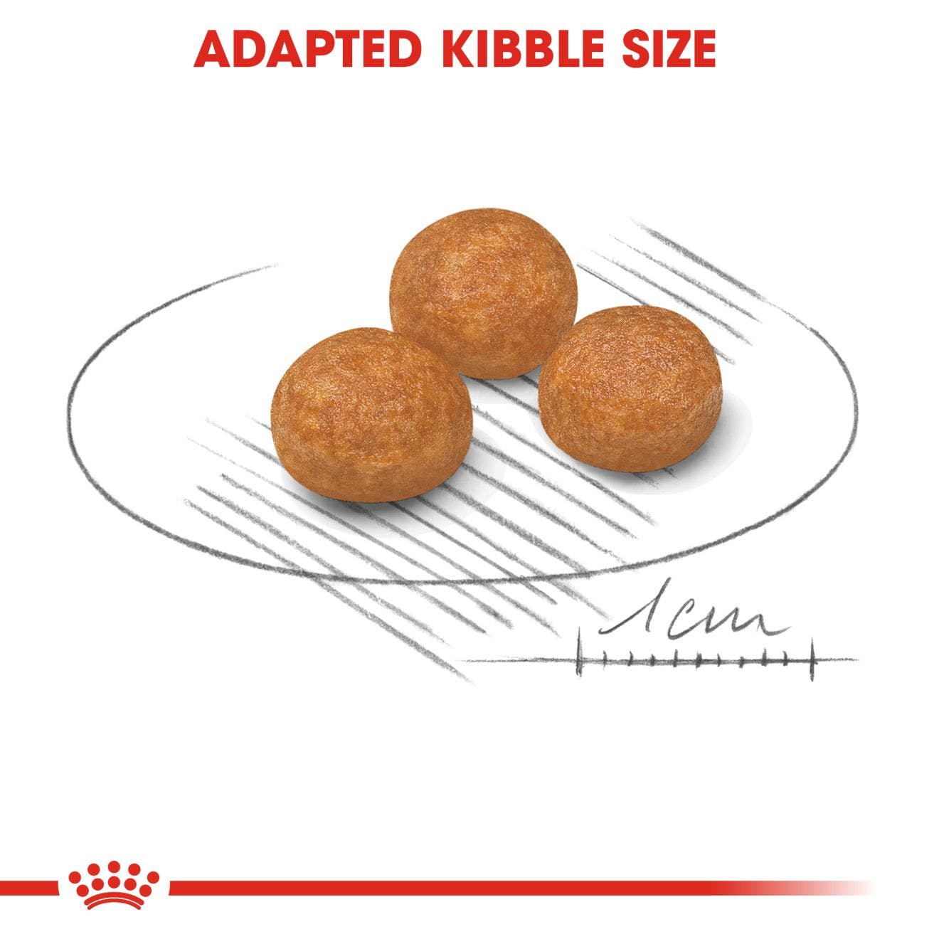 Royal Canin Adult X-Small Dry Dog Food 1.5kg