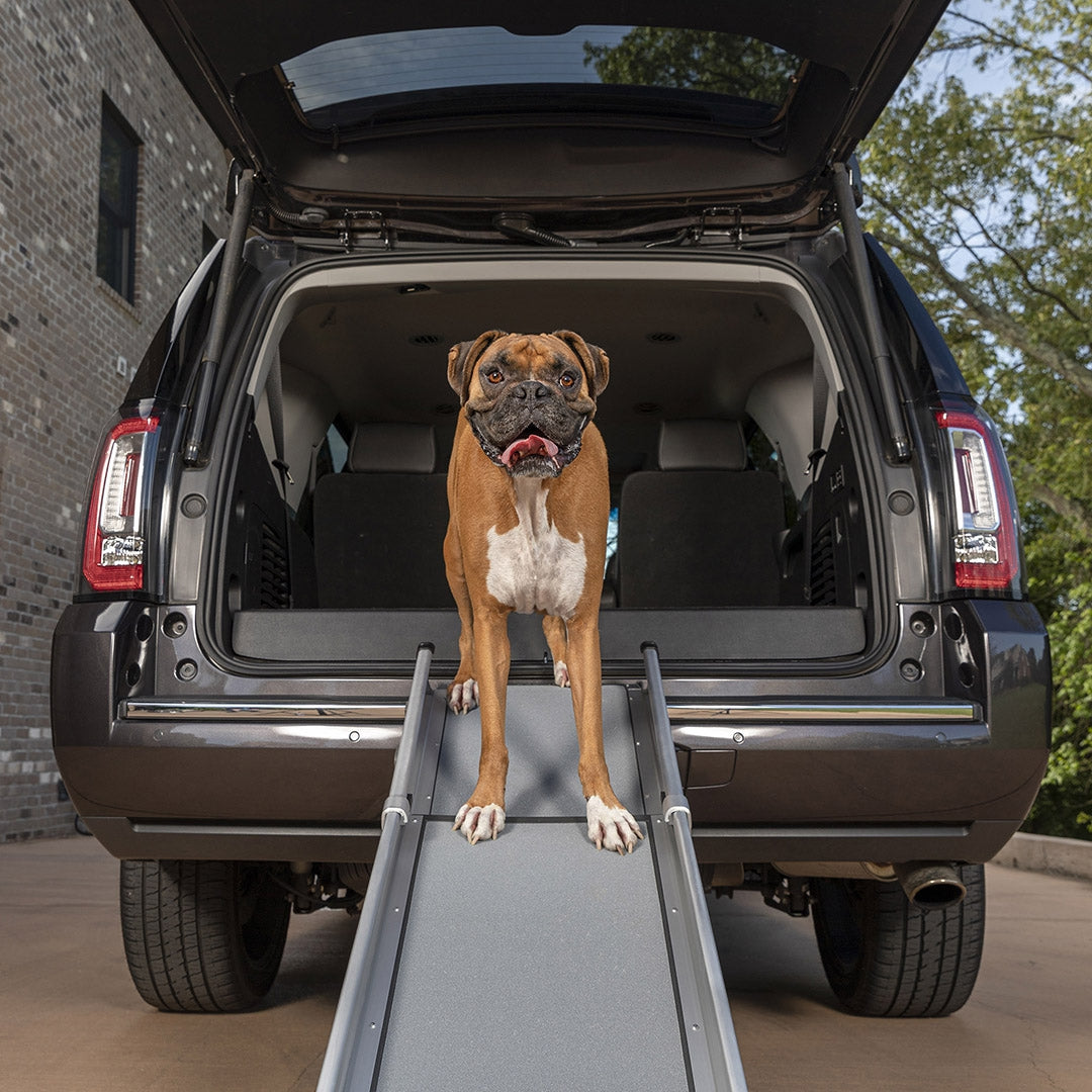 Petsafe Happy Ride Compact Telescoping Dog Ramp