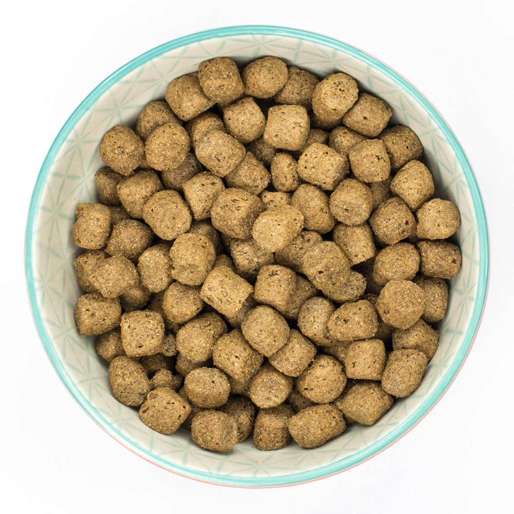 Burns Alert Assistance Chicken & Brown Rice Dry Dog Food