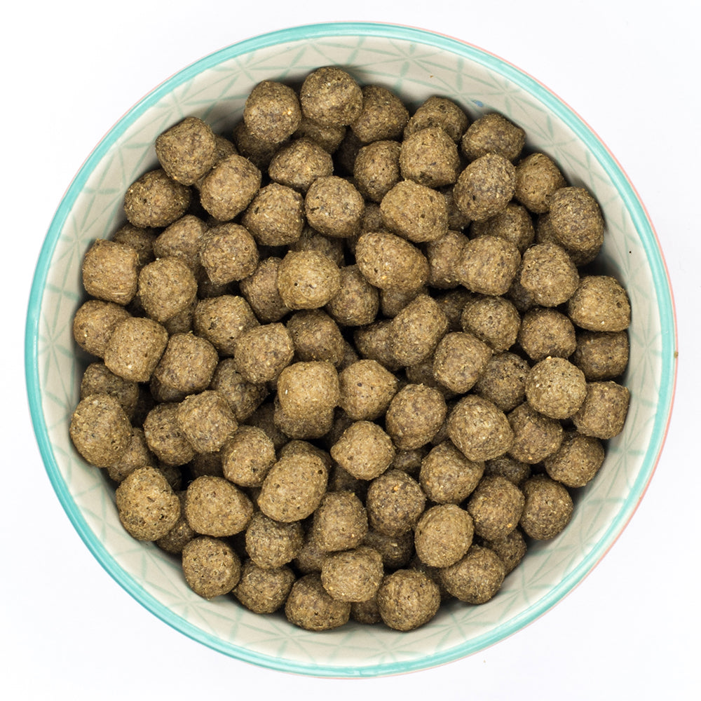 Burns Alert Assistance Lamb & Brown Rice Dry Dog Food