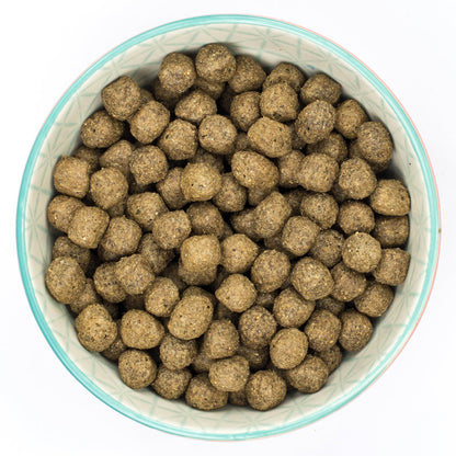 Burns Alert Assistance Lamb & Brown Rice Dry Dog Food