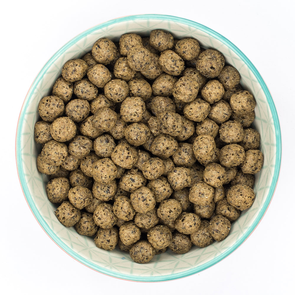 Burns Grain Free Duck & Potato Dry Dog Food 6kg
