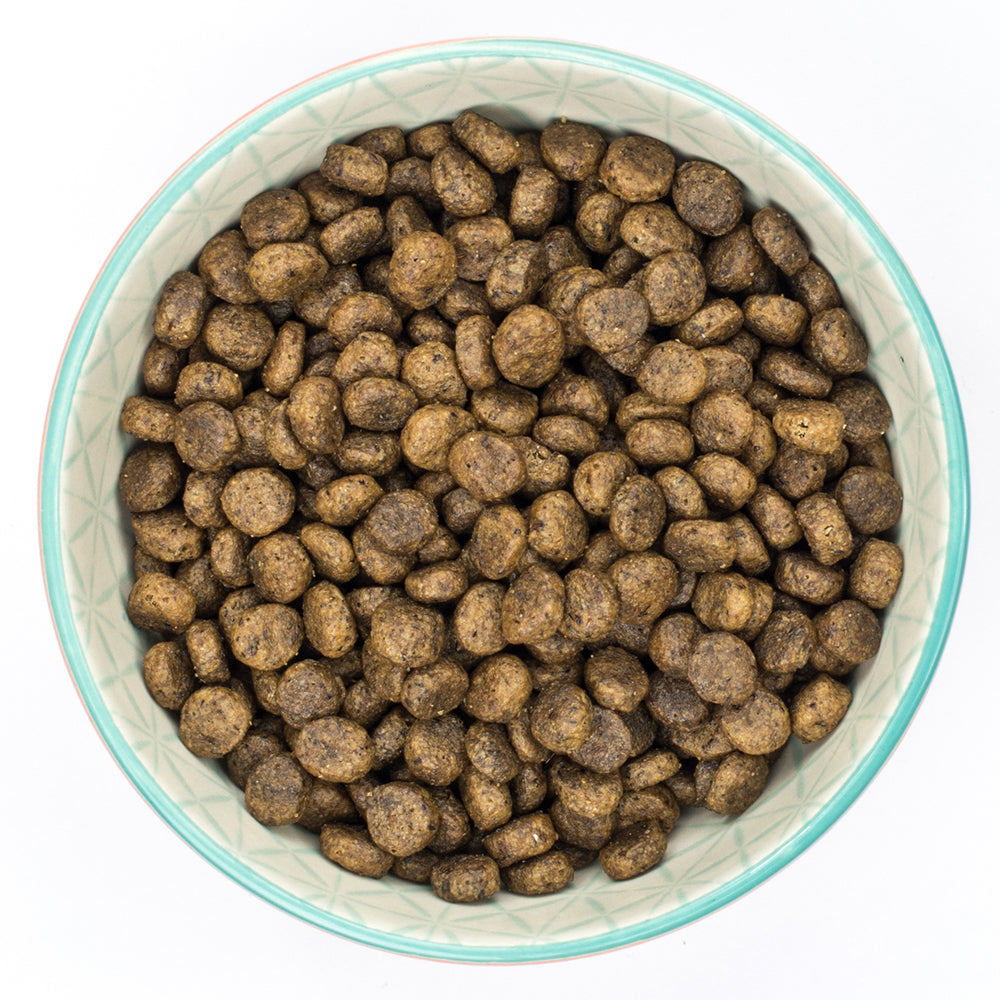 Burns Grain Free Duck & Potato Dry Cat Food 2kg