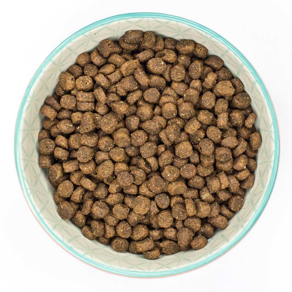 Burns Senior+ Toy & Small Breed Chicken & Brown Rice Dry Dog Food 2kg