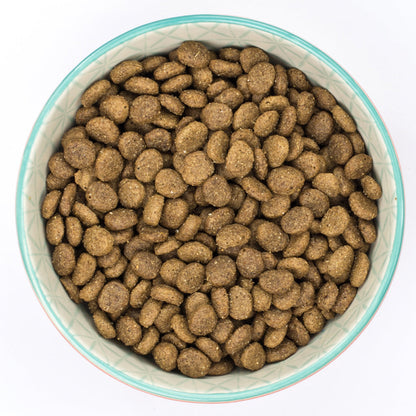 Burns Puppy Mini Chicken & Rice
