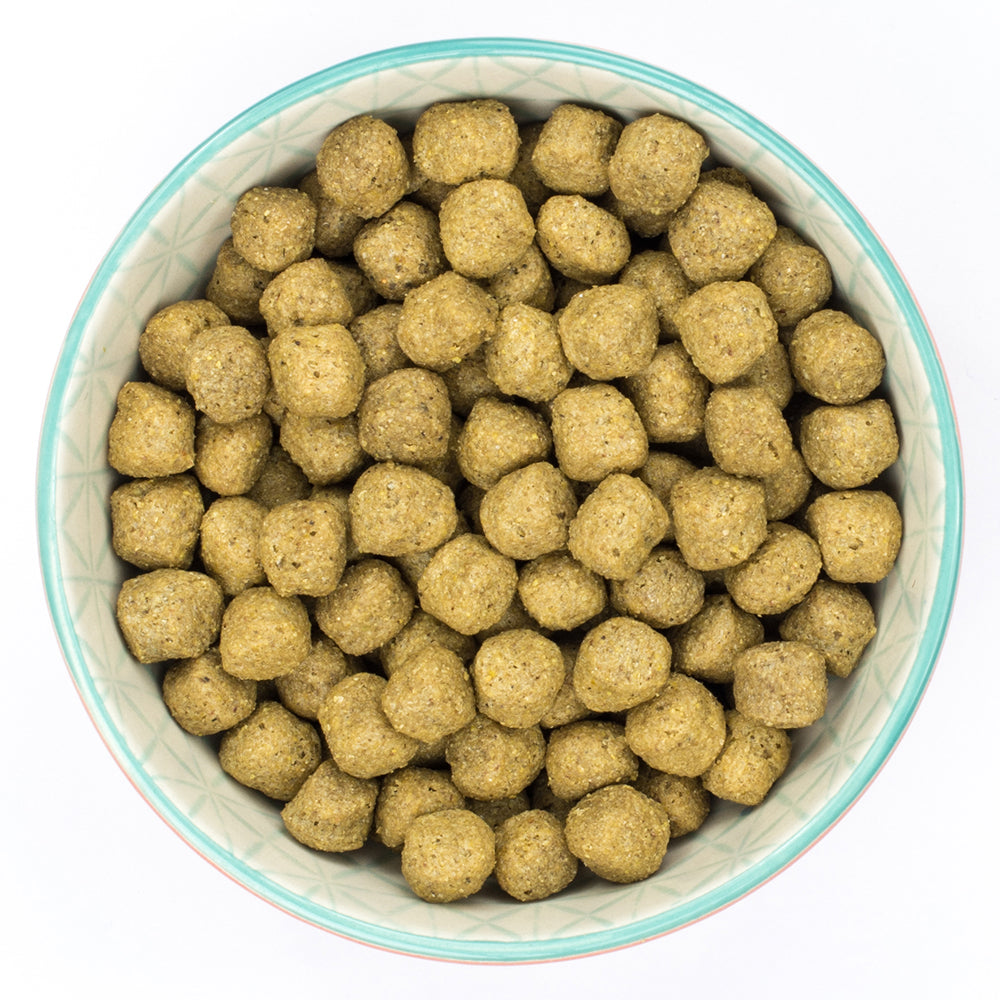 Burns Sensitive Fish & Wholegrain Maize Dry Dog Food