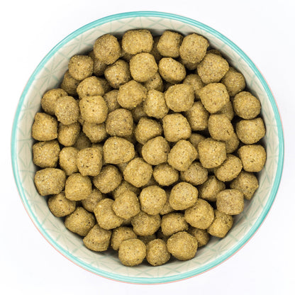 Burns Sensitive Fish & Wholegrain Maize Dry Dog Food