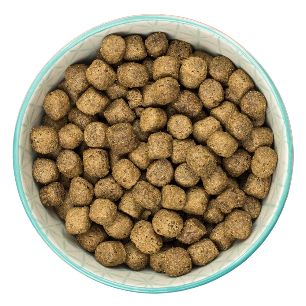 Burns Original Chicken & Brown Rice Dry Dog Food