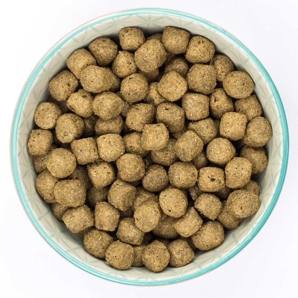 Burns Original Fish & Brown Rice Dry Dog Food