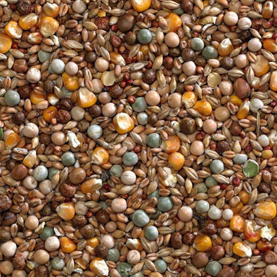 Bucktons Winter Economy Mix Pigeon Food 20kg