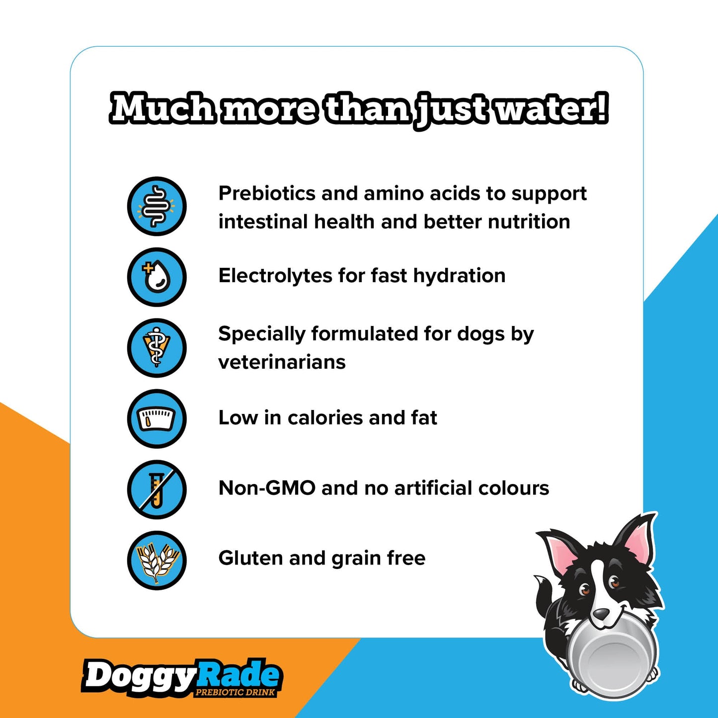 DoggyRade Prebiotic Isotonic Drink for All Dogs