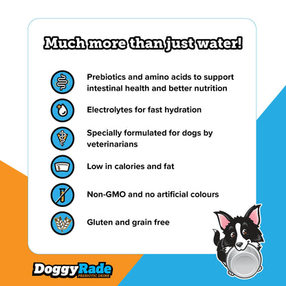 DoggyRade Prebiotic Isotonic Drink for All Dogs