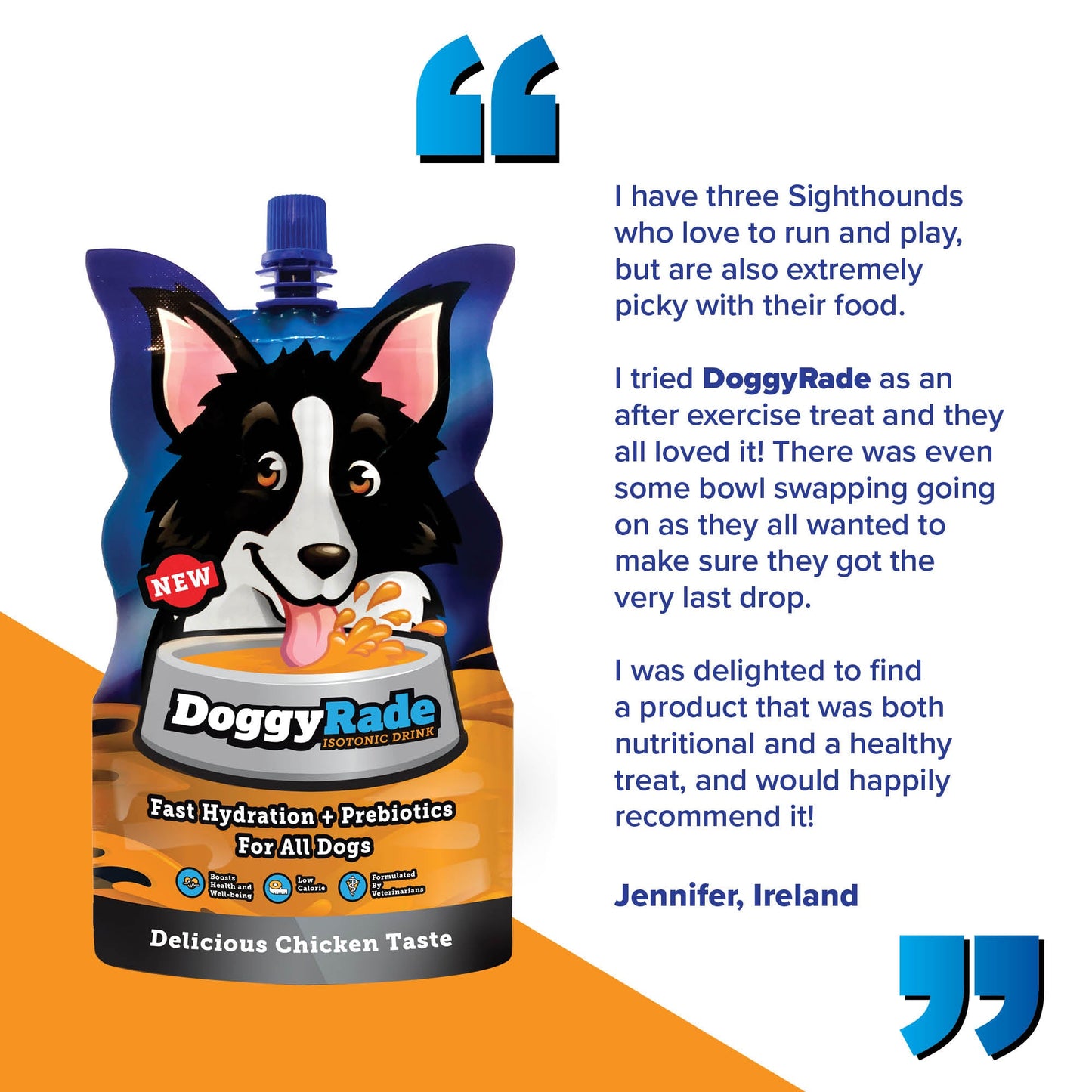 DoggyRade Prebiotic Isotonic Drink for All Dogs