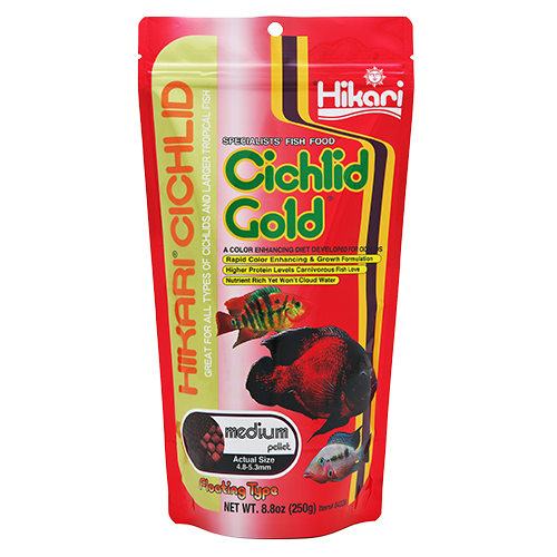 Hikari Cichlid Gold Fish Food 250g