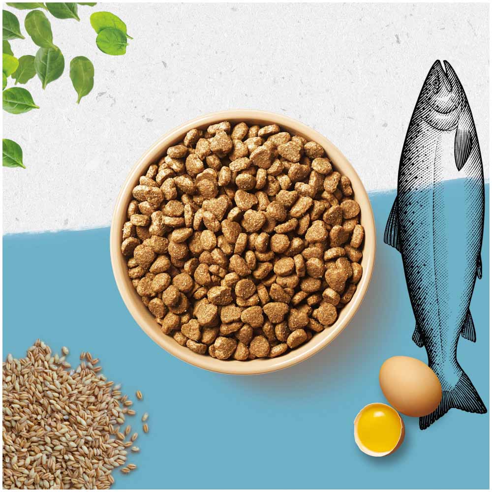 Beyond Simply Dry Cat Food Rich in Salmon, 850 g