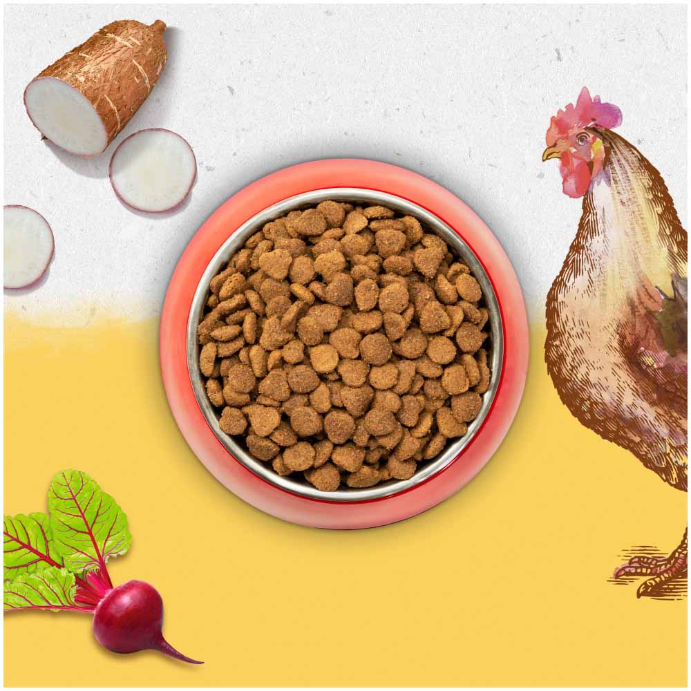 Beyond Grain Free Dry Cat Food Rich in Chicken 700g